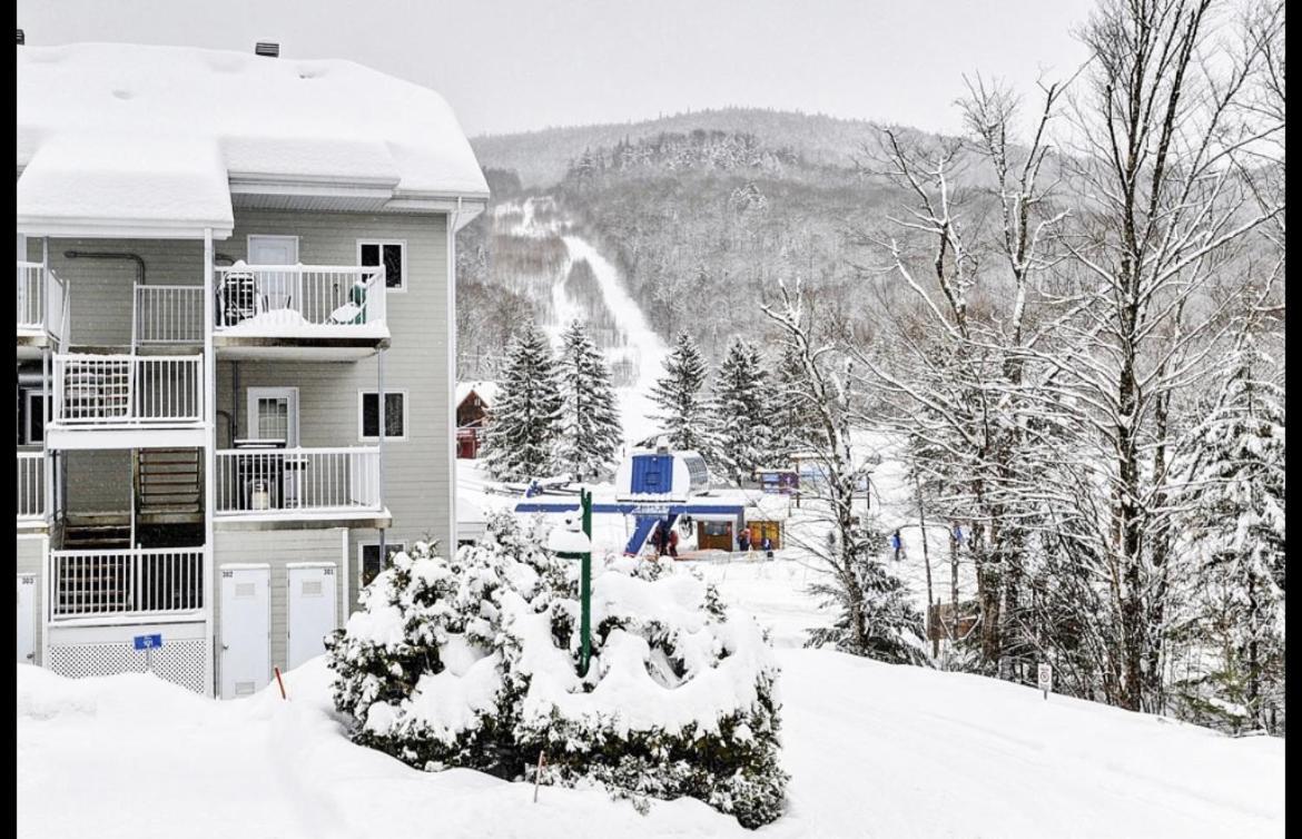 Condo Ski-In Ski-Out ストーンハム エクステリア 写真